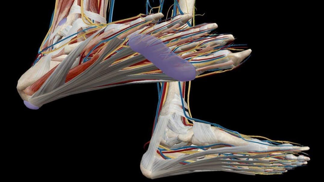 FB_IMG_1562862822784 (002)